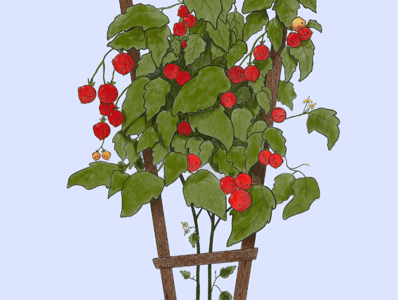 Issue Seven